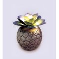 thumbnail image 1 of Boutique Home Base ciment LED Décor Succulent, 1 of 3