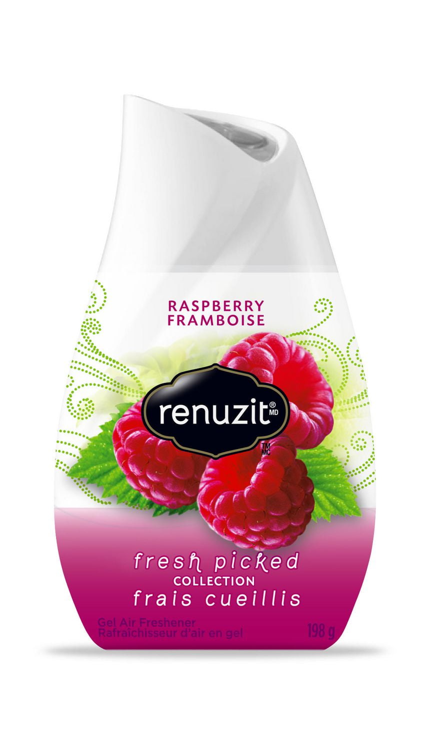 Renuzit Adjustable Simply Vanilla, 212 g Walmart Canada