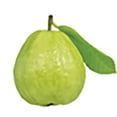 thumbnail image 1 of GOUVE EN VRAC GOYAVE, 1 of 1
