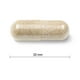 Jamieson Capsules de Fer 28 mg Formule douce 90 capsules végétales – image 2 sur 3