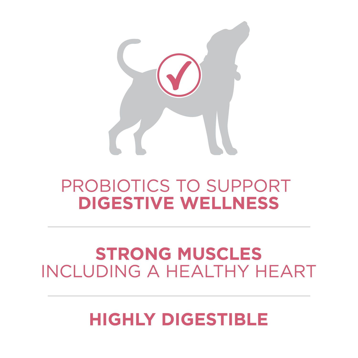 Purina one smartblend digestive hot sale health