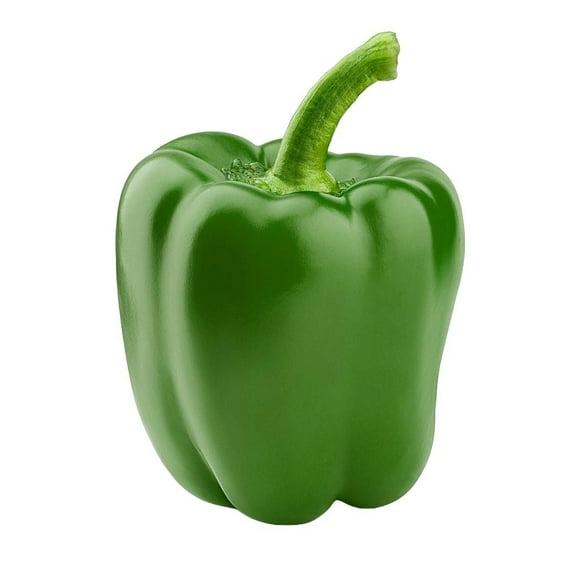 Pepper, Green Bell, Sold in singles, 0.12 - 0.39 KG