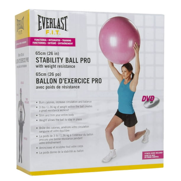 Ballon de stabilité professionnel Everlast de 65 cm