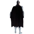 thumbnail image 2 of Figurine « Scarabée Bleu » de DC Comics, 12 po, 2 of 3