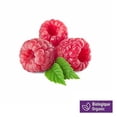 thumbnail image 1 of Framboises, biologique 6 oz, 1 of 6
