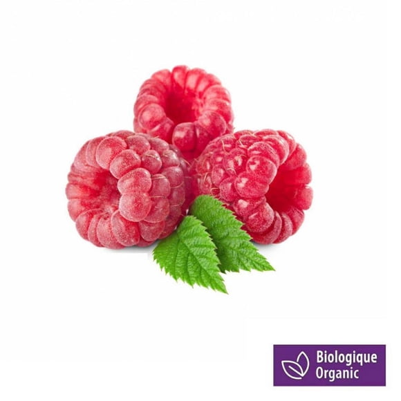 Raspberries, Organic, 6 oz
