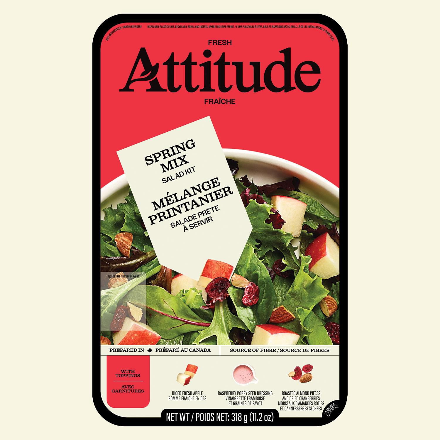 Fresh Attitude Family Salad Kit Spring Mix with Toppings, 318g, READY-TO-EAT SALAD