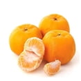 thumbnail image 1 of Lokan Mandarin, 1 of 1