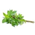 thumbnail image 1 of Sweet Basil, Sold in bunches, 1 of 1