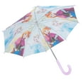 thumbnail image 3 of PARAPLUIE DE GLACE CONGELÉ, 3 of 5