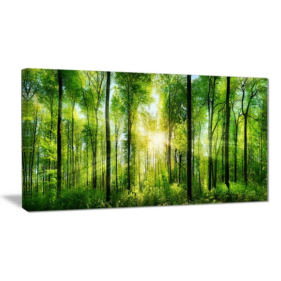 Design Art Forest with Rays of Sun Panorama Landscape Canvas Print