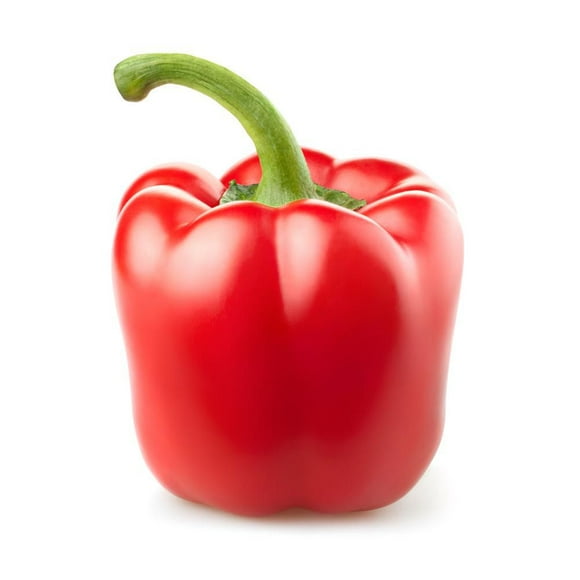Pepper, Red Bell, Sold in singles, 0.12 - 0.24 KG