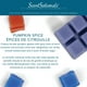 Cubes de cire parfumée ScentSationals - Épice à la citrouille – image 4 sur 4
