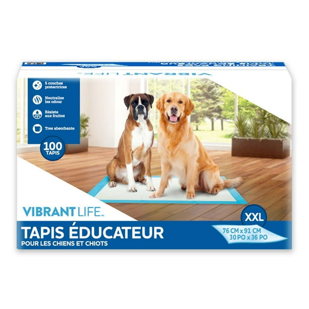 Vibrant Life Dog Pee Pads & Puppy Training Pads XXL Size “ 76x91cm ” Count “100”, 100 pack (76