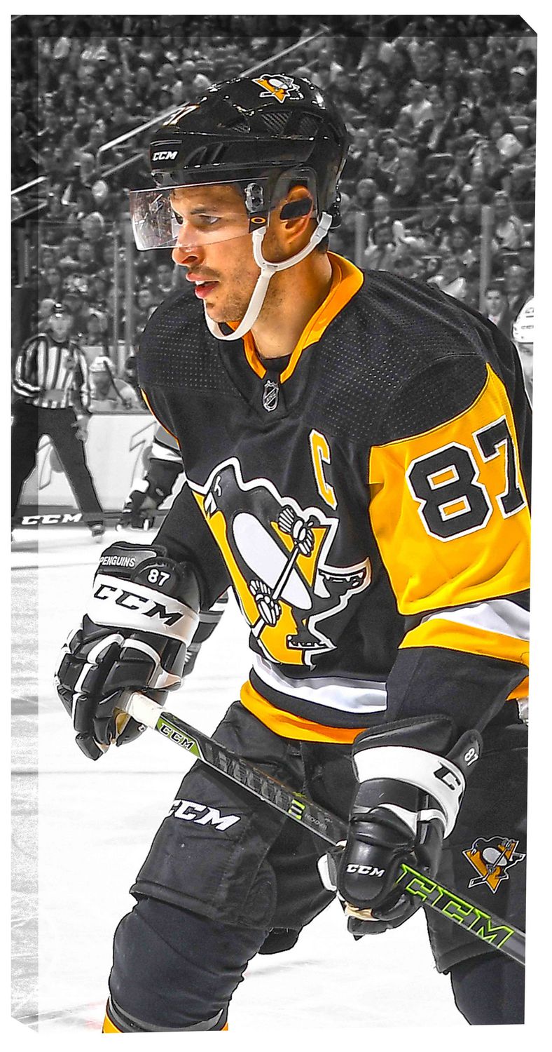 Sidney Crosby 14x28