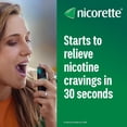 thumbnail image 3 of Vaporisateur Nicorette VapoÉclair, Menthe Verte, 1 mg, Aide pour cesser de fumer et Aide de renoncement au tabac, 150 vaporisations, 3 of 6