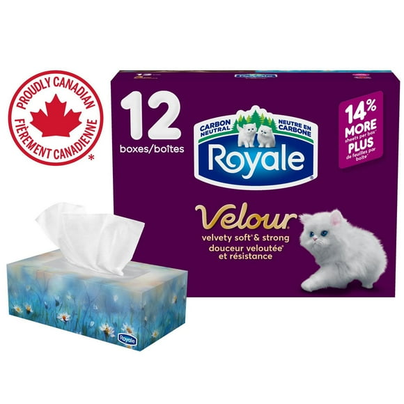 Royale Velour Facial Tissue, 12 Flat Boxes, 82 Tissues per box, 3-Ply, 984 Tissues