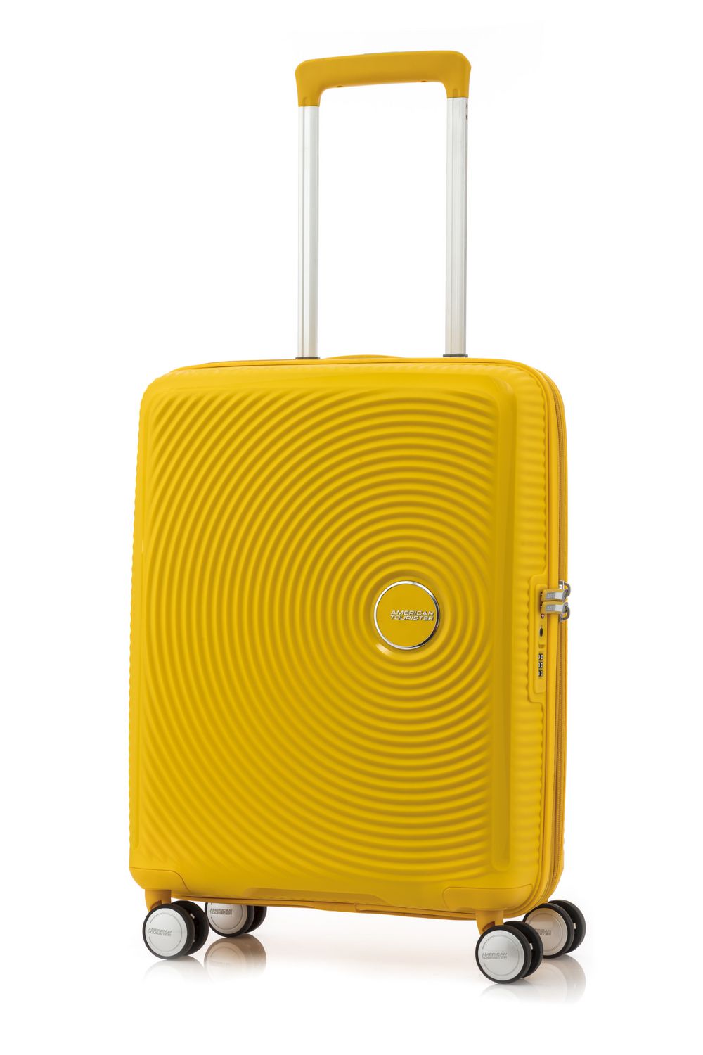 tourister curio