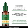 thumbnail image 4 of Extrait de racine d'hydraste du Canada Pure-lē Natural, 4 of 7