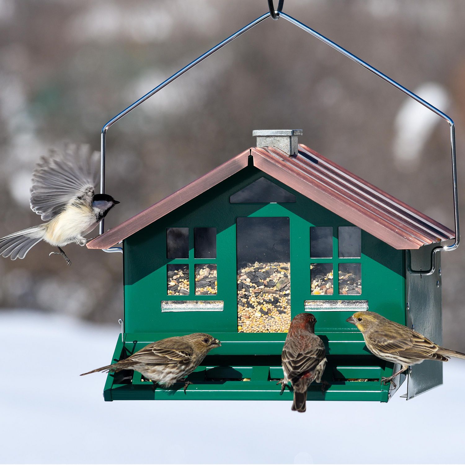 JCs Wildlife Mangeoire à oiseaux Diner 13 fenêtres – Facile à