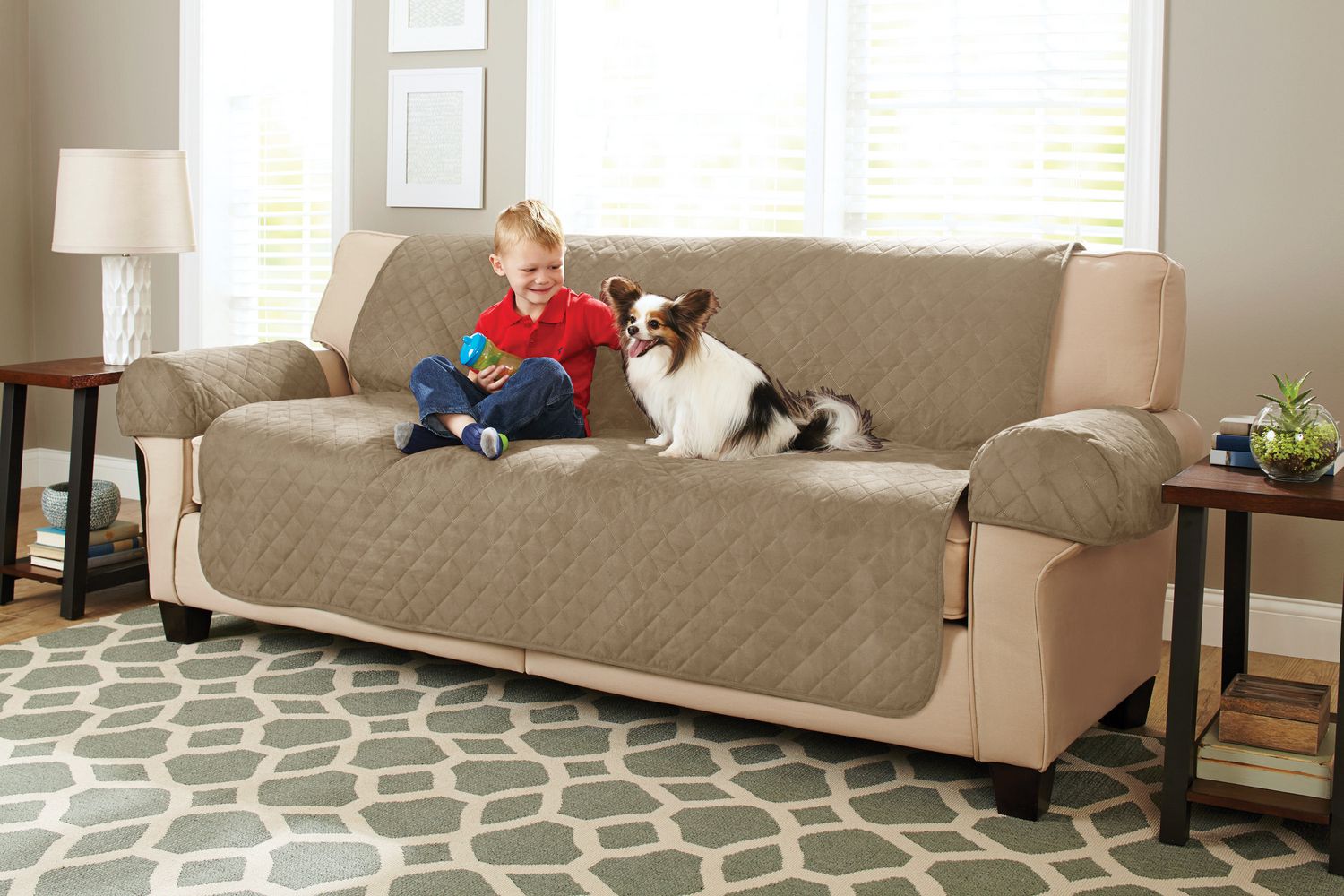 how can i protect my couch from dog hair