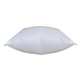 thumbnail image 1 of Coussin gonflable Duck Dome de Duck Covers, 1 of 2