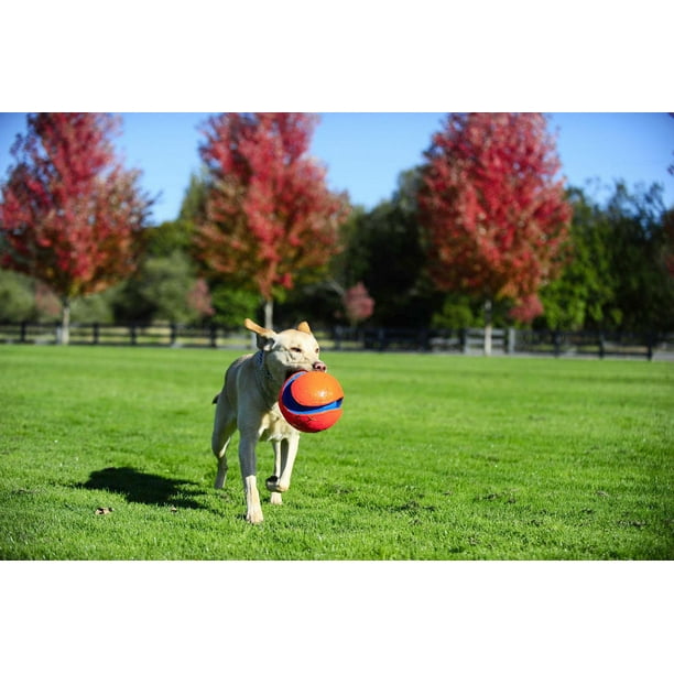 Nerf Dog Two-Tone TPR Spike Ball, Large, 8.9 cm (3.5 po) 