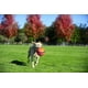 Chuckit! Grand jouet pour chien Kick Fetch Kick to Play Ball Couleur haute visibilité – image 3 sur 7