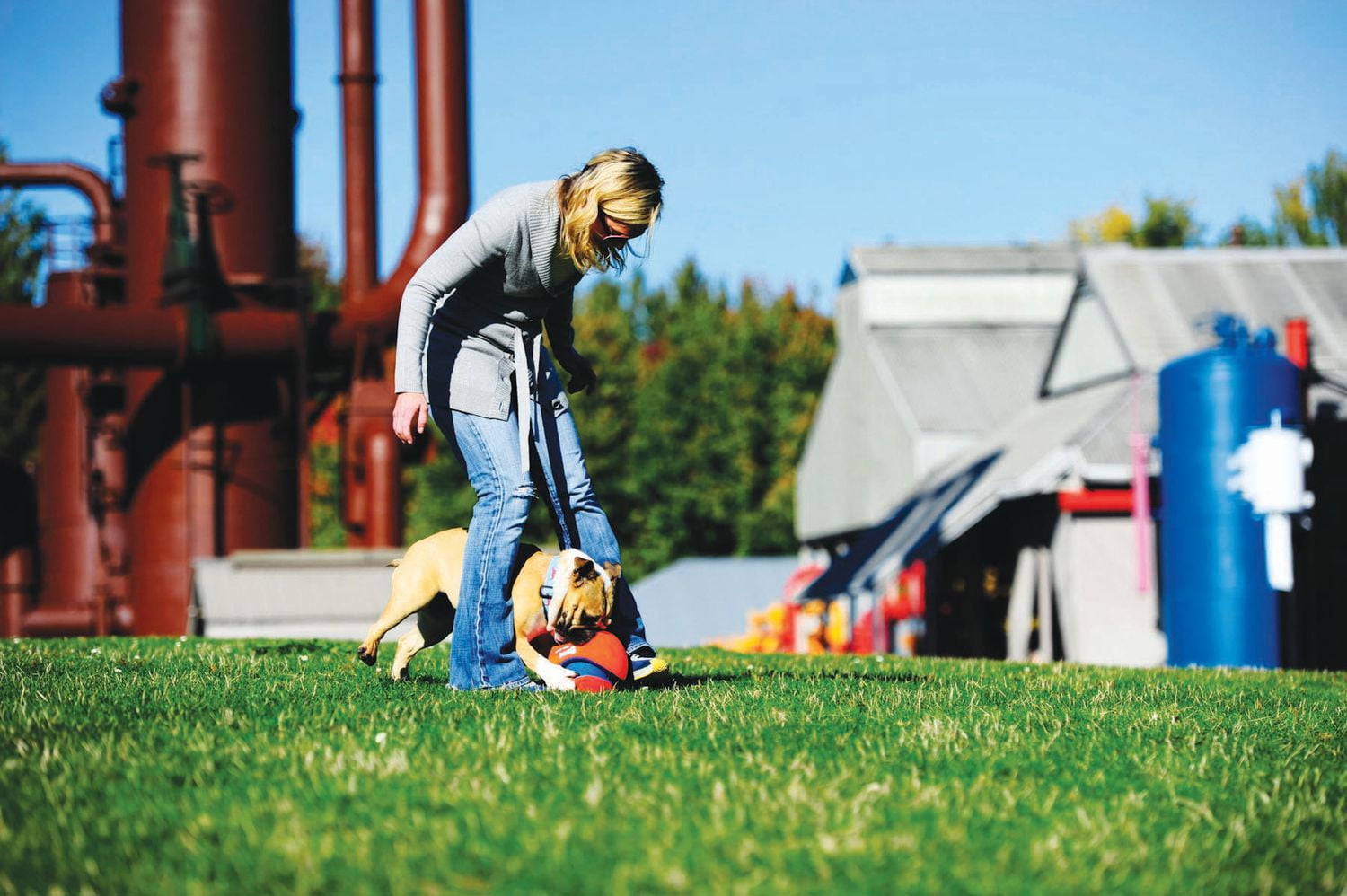 Chuck it soccer ball best sale