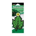 thumbnail image 1 of Auto Expressions Leaf Mountain Pine 1pk, 1 of 1