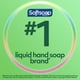 Recharge de savon liquide pour les mains Softsoap Soothing Aloe Vera 1,47 L – image 4 sur 9