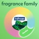 Recharge de savon liquide pour les mains Softsoap Soothing Aloe Vera 1,47 L – image 5 sur 9