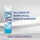 Spray Désinfectant Lysol, Cascade du printemps, Désinfecte et élimine les odeurs sur les surfaces dures et les tissus 539g – image 2 sur 7