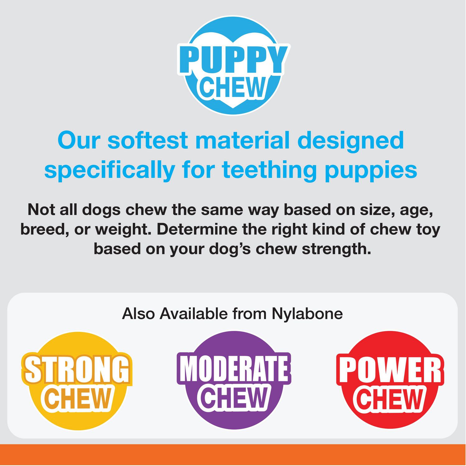 Nylabone Puppy Chew Combo Pack, Bacon Flavor, Medium - Walmart.ca