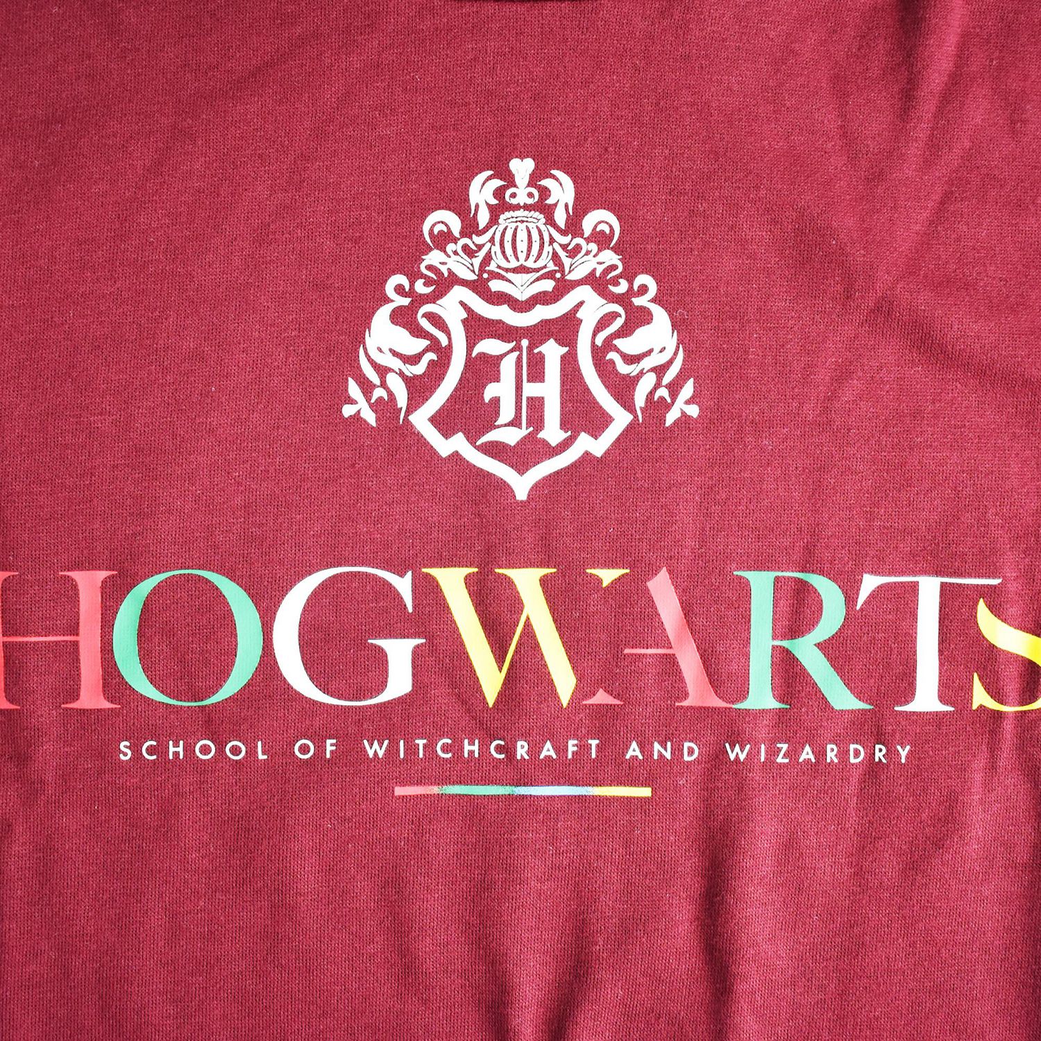 Ladies Harry Potter House Pride Long Sleeve Hoodie