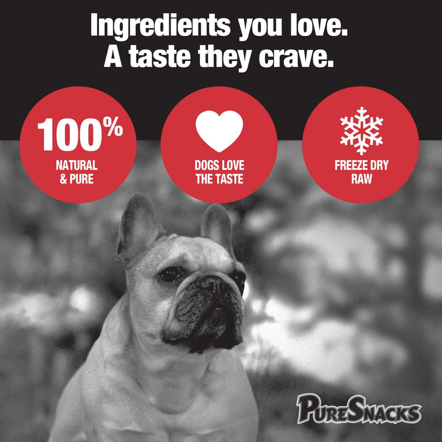 Crave dog outlet treats