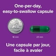 thumbnail image 4 of Webber Naturals Multi la plus complète pour hommes 50+, 4 of 11