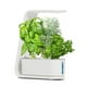 AeroGarden Sprout blanc avec kit de capsules de semences Fines herbes – image 1 sur 8