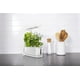 AeroGarden Sprout blanc avec kit de capsules de semences Fines herbes – image 4 sur 8