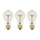 Ampoule incandescente à filament grillagé de 60W Edison A19 style vintage Edison (paquet de 3) – image 1 sur 4