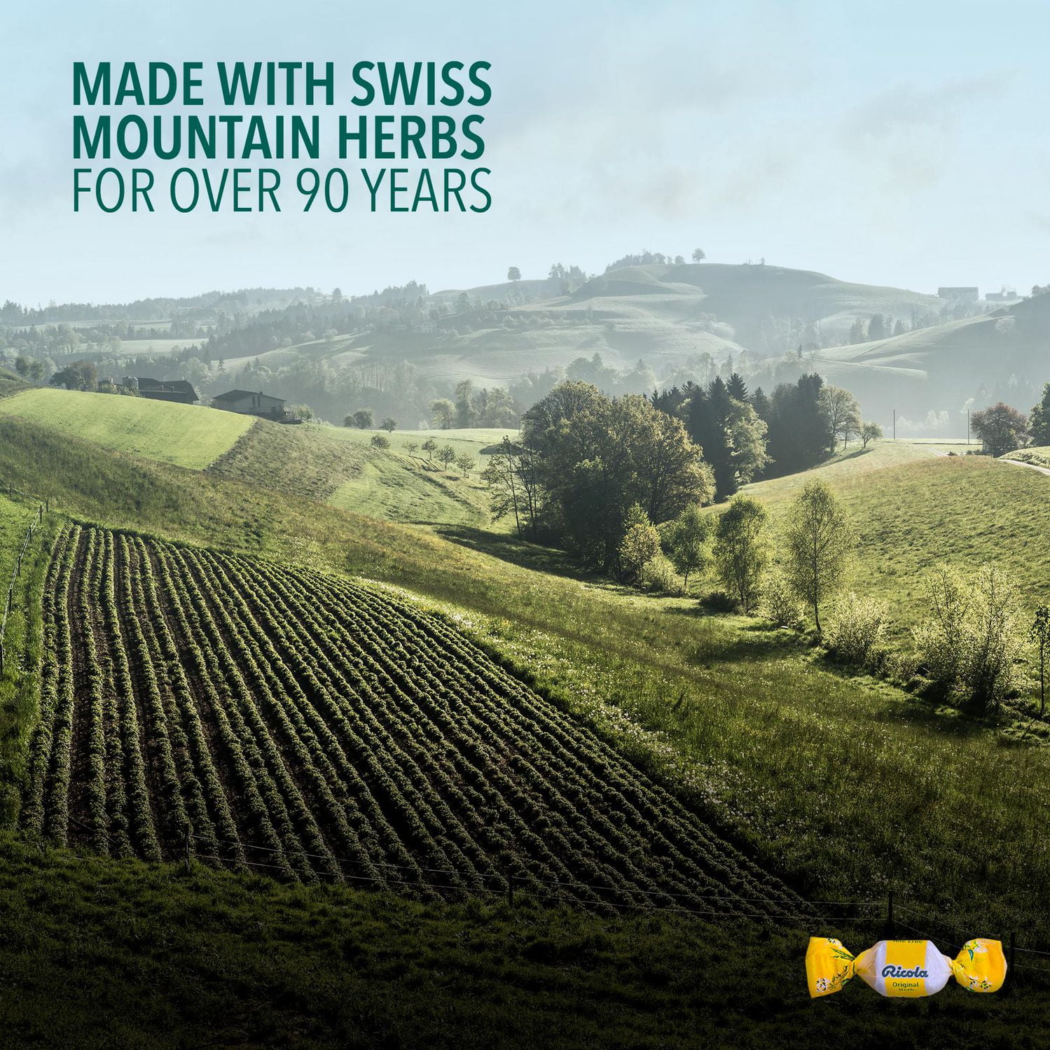 Pastilles Ricola à saveur de miel-citron avec échinacée en sac familial 45 unités