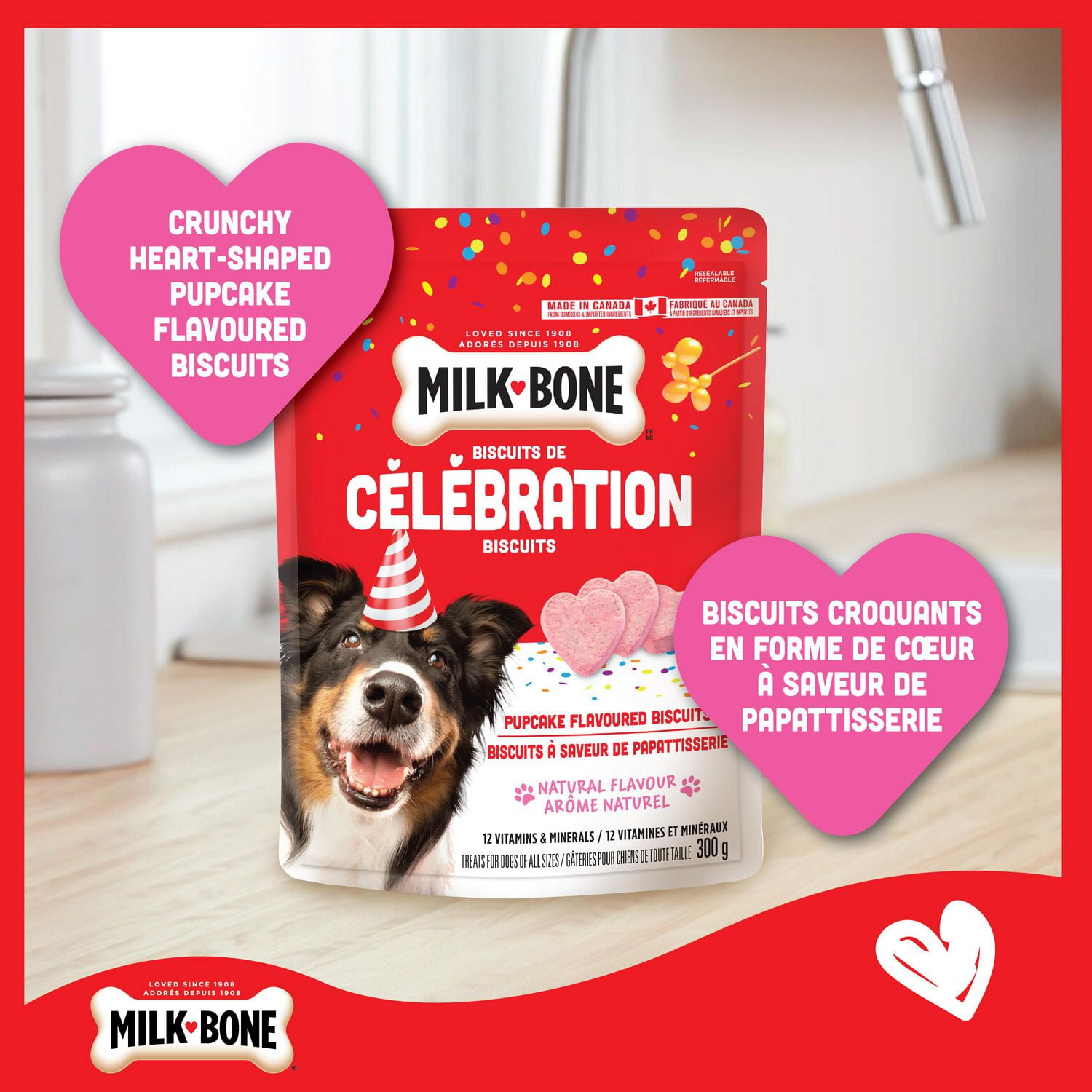 New milk outlet bone treats