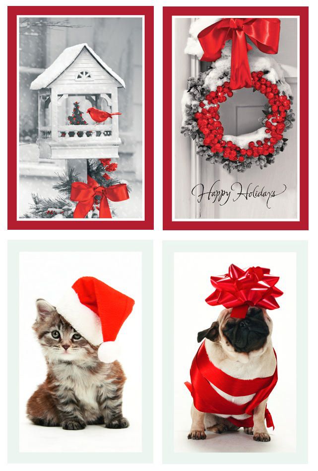 Deluxe Single Photo Christmas Boxed Cards Walmart Canada