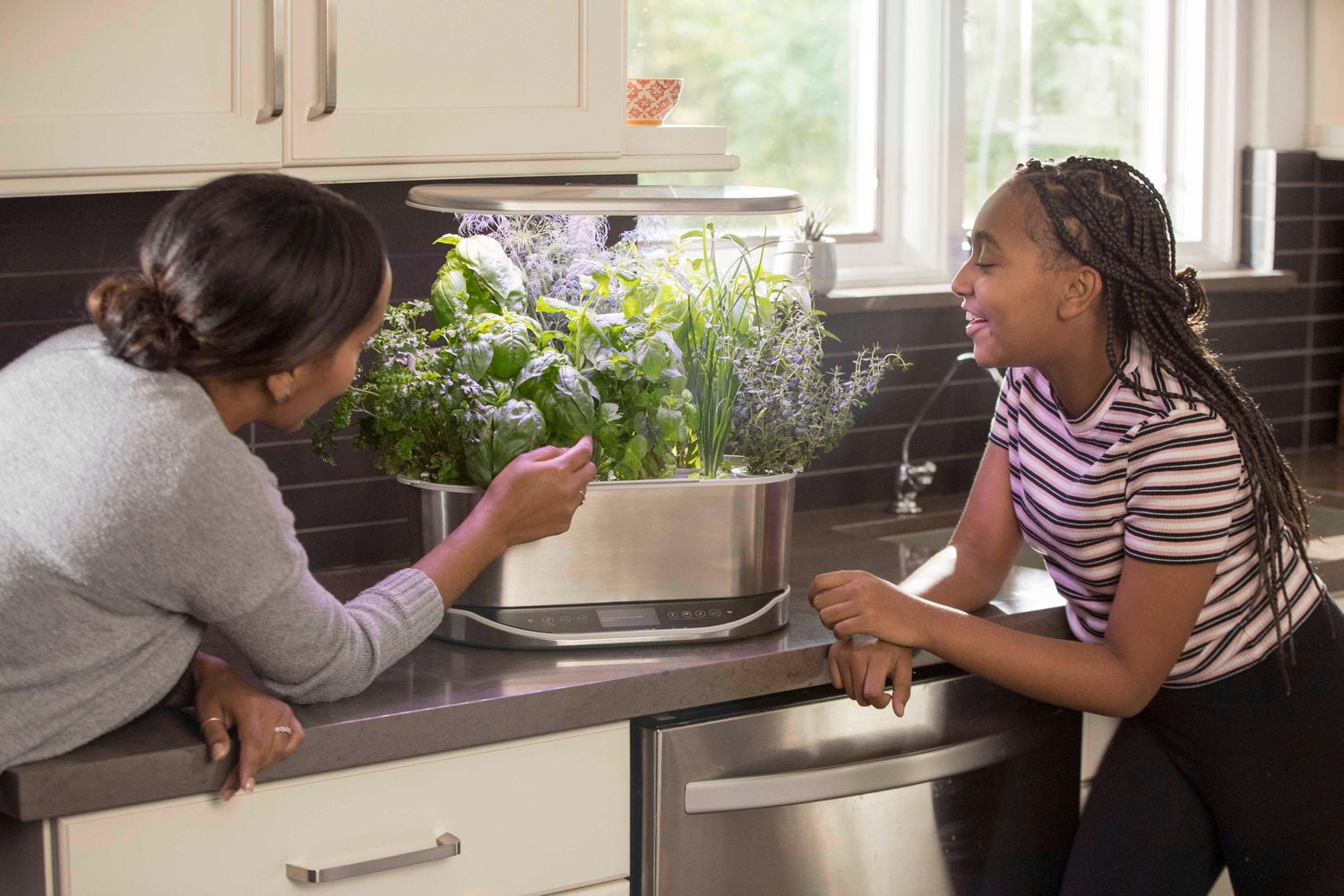 AeroGarden Bounty Elite Stainless with Gourmet Herb Seed Pod Kit