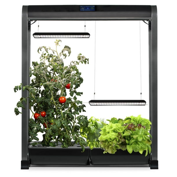 AeroGarden Farm 24 XL Black with Salad Bar Seed Kit Walmart.ca