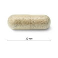 thumbnail image 2 of Jamieson High Potency Organic Echinacea Capsules 1,200 mg, 2 of 3