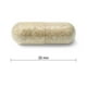 Jamieson Capsules d'Échinacée Biologique à Puissance Élevée 1 200 mg 1 mg – image 2 sur 3