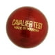Balle de cricket rouge Cavalier Test – image 1 sur 1
