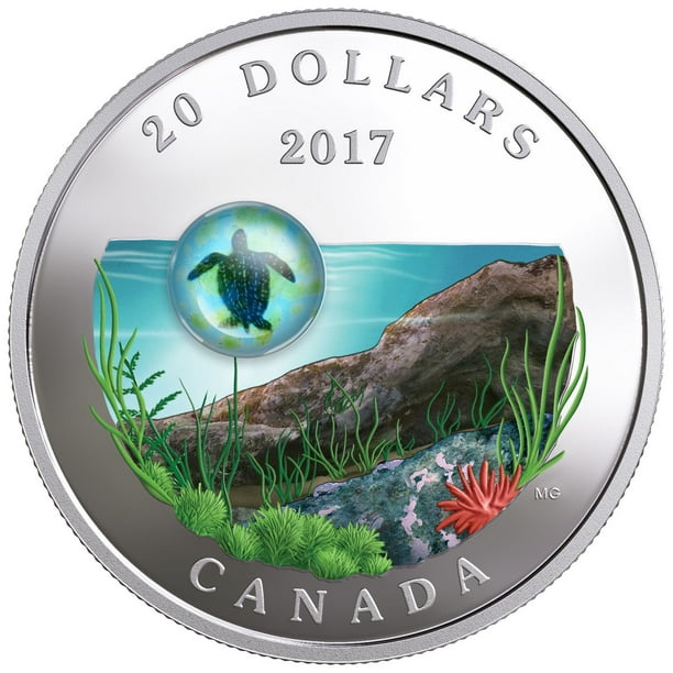 Pièce en argent - Vie sous-marine : Tortue marine La Monnaie royale canadienne