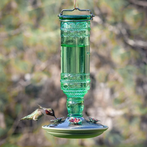 Aspects - Protecteur de nectar pour mangeoire à colibris – La Plume Verte